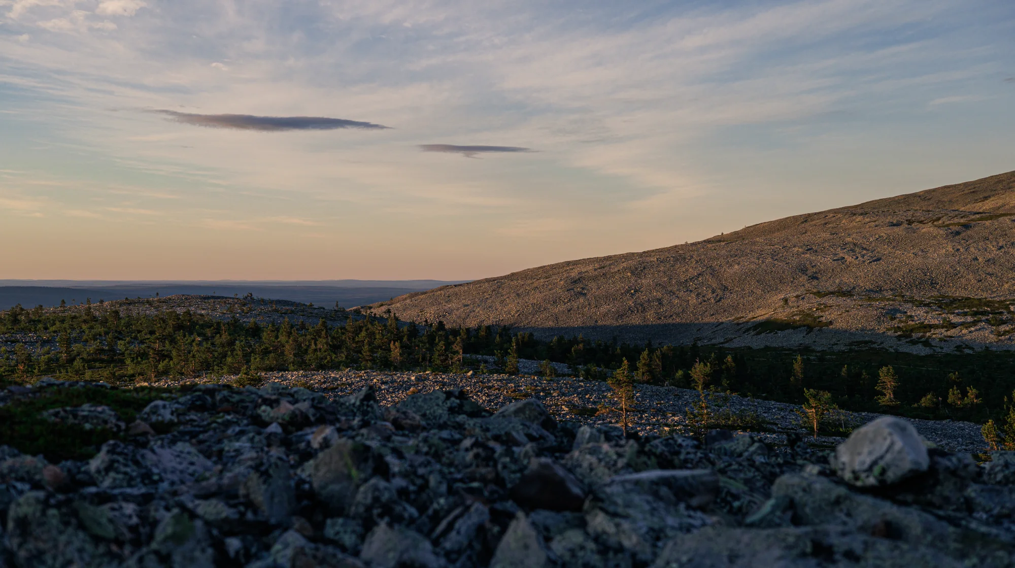 Kellostapulinkuru, Ylläs